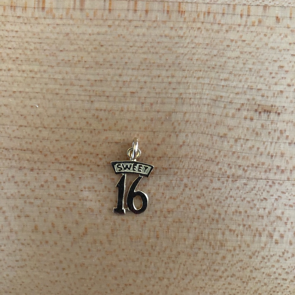 10K Gold Sweet 16 Charm
